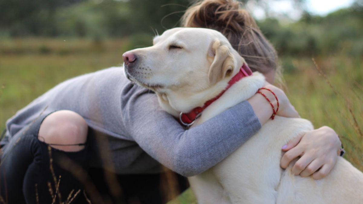 Ni la familia ni los amigos: para el 90 % de las personas en situación vulnerable, su mascota es su principal fuente de afecto
