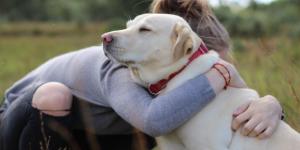 Ni la familia ni los amigos: para el 90 % de las personas en situación vulnerable, su mascota es su principal fuente de afecto