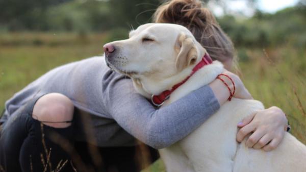 Ni la familia ni los amigos: para el 90 % de las personas en situación vulnerable, su mascota es su principal fuente de afecto