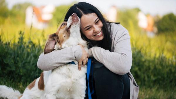 Hace 50 años pocos dejaban dormir al perro dentro de casa: hoy comparte nuestra cama, sofá y forma parte de la familia - El vínculo con los perros ha evolucionado, pero también las responsabilidades