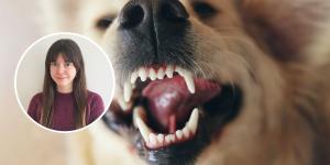 Marta Sarasúa, experta en comportamiento canino, explica qué hacer si tu perro gruñe y muestra los dientes: "El gruñido no se castiga, se comprende"