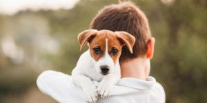 Los expertos coinciden: no hay razas peligrosas para los niños, sino falta de educación y socialización