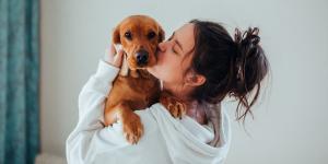 España supera los 15 millones de mascotas: ya hay más animales de compañía que jóvenes menores de 30 años