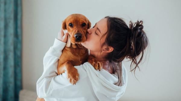 España supera los 15 millones de mascotas: ya hay más animales de compañía que jóvenes menores de 30 años