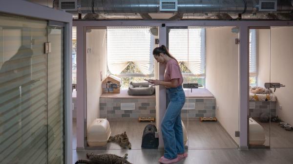Las protectoras están al límite por el abandono de gatitos en verano: “No tenemos espacio y dependemos de las casas de acogida” - Por qué un gatito huérfano no puede salir adelante sin ayuda / Un gatito recién nacido no puede sobrevivir solo: el papel clave de las casas de acogid