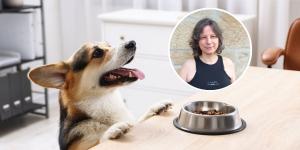 Este suplemento natural se usa cada vez más en perros y María Besteiros, experta en bienestar animal, revela su utilidad real: "Puede mejorar la salud de tu perro si se usa correctamente"