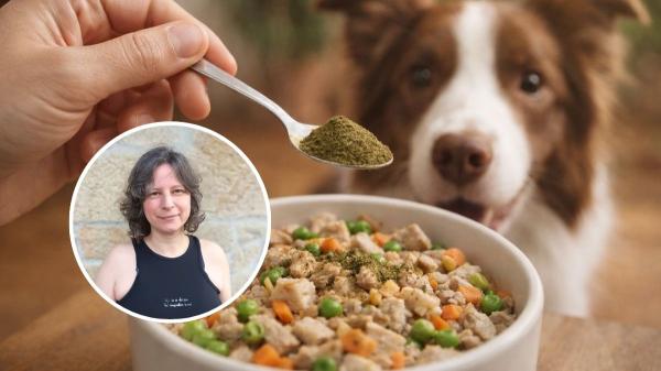 Este suplemento natural se usa cada vez más en perros y María Besteiros, experta en bienestar animal, revela su utilidad real: "Puede mejorar la salud de tu perro si se usa correctamente"