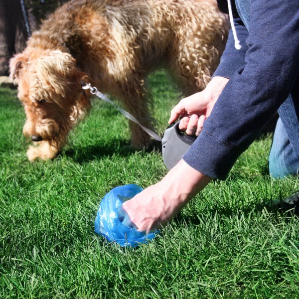 alimentos que causan diarrea en perros 11 como endurecer las heces de mi perro 25468 600 square