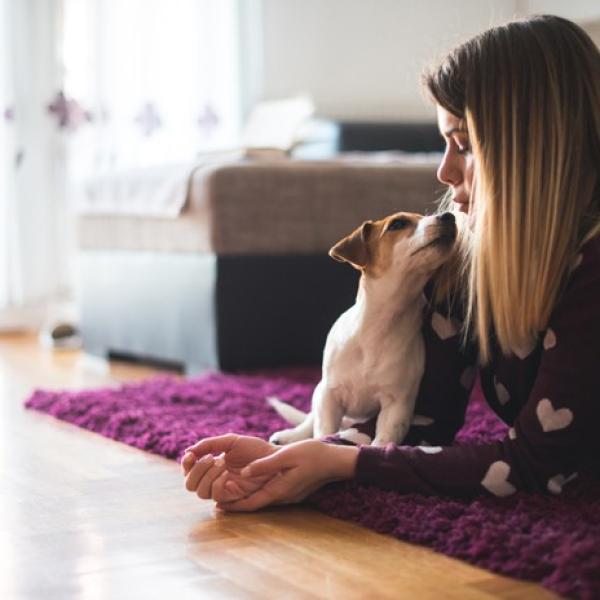 6 juegos para jugar con tu perro en casa