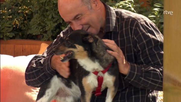 Con 80 años, César toma la decisión más difícil por el bien de su perro: “Es muy doloroso, me ha hecho muy feliz, pero no tengo fuerzas para cuidarlo” - Un final feliz para Curro: así es la familia que le abrió su corazón y su hogar