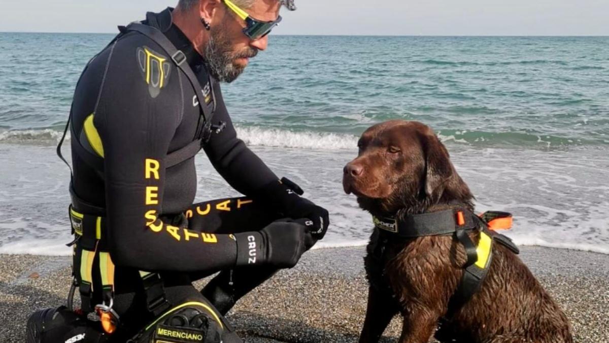 Los perros que se lanzan al mar para salvar vidas: así trabaja el singular equipo canino de Torrox