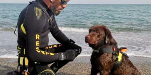 Los perros que se lanzan al mar para salvar vidas: así trabaja el singular equipo canino de Torrox