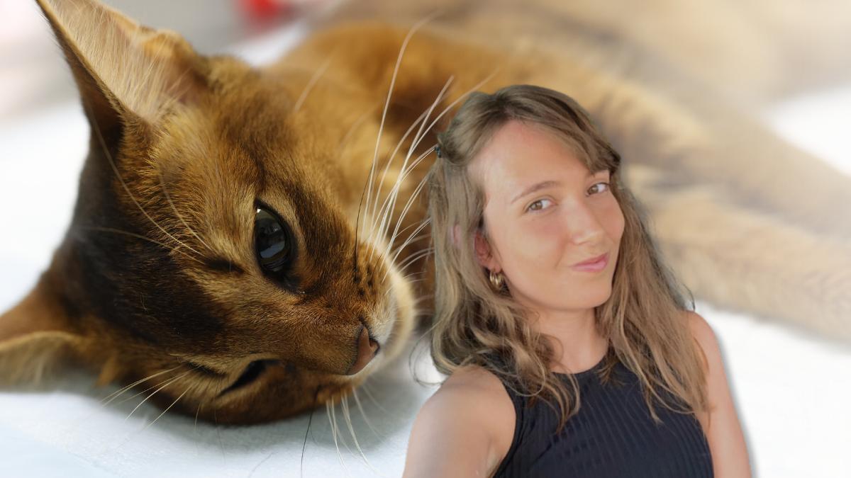 Soy veterinaria y estas 5 posturas podrían indicar que tu gato está enfermo: "Solo debes preocuparte si se mantienen durante horas y van acompañadas de otros síntomas"