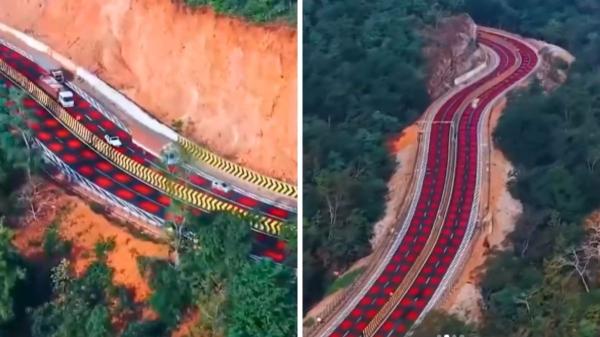 La India estrena la primera carretera roja para salvar la fauna salvaje y evitar los atropellos - Así es la carretera roja de la India que reduce los atropellos de animales