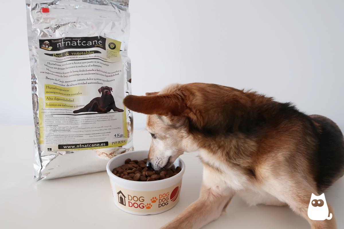 Pienso NFNatcane - Composición, opiniones y precio