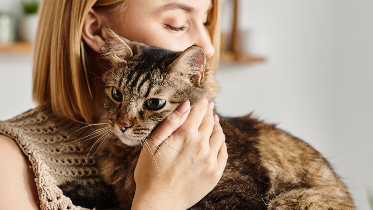 La psicología dice que las personas que esperan a que el gato se acerque primero no son tímidas, sino que valoran el afecto sin imponerlo