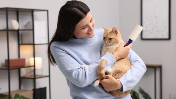 La psicología dice que las personas que esperan a que el gato se acerque primero no son tímidas, sino que valoran el afecto sin imponerlo - Qué dice esto sobre la personalidad de las personas