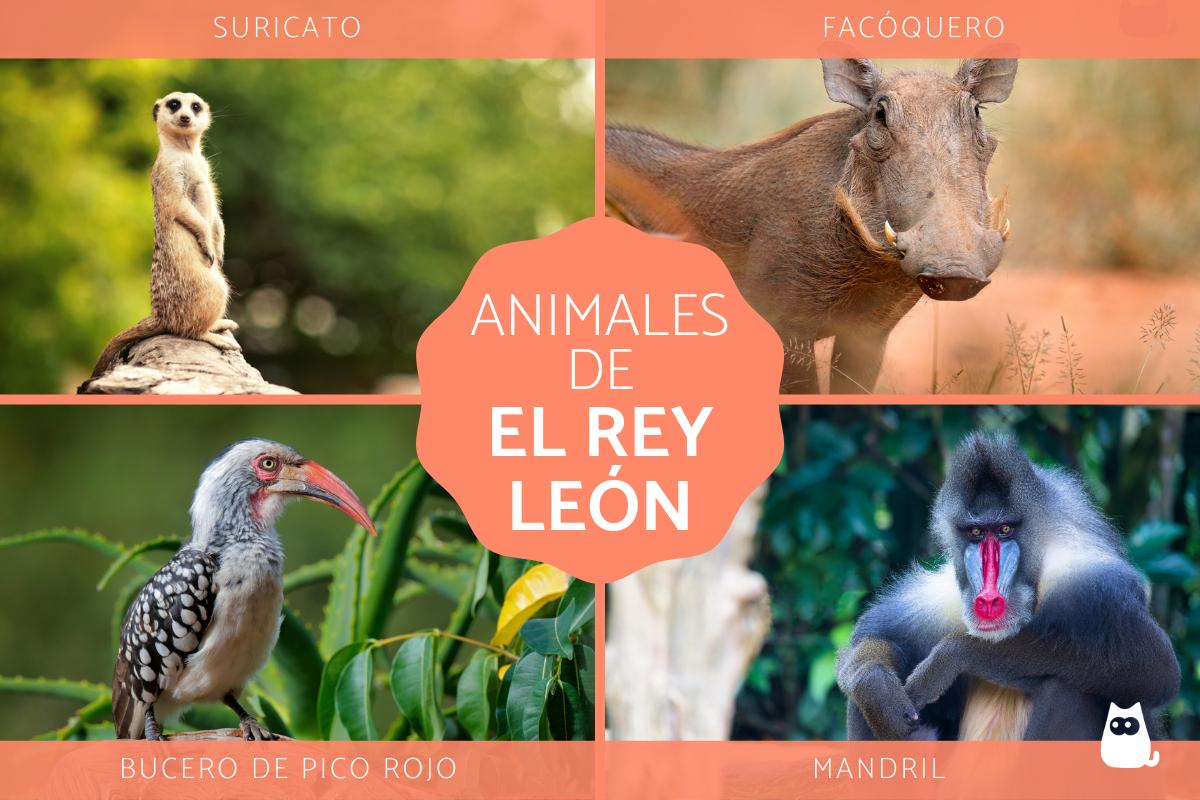 Animales de El Rey León