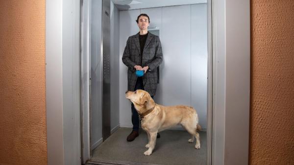 La Ley de Propiedad Horizontal lo aclara: puedes usar el ascensor con tu perro, excepto en estos casos - En qué casos se puede limitar el uso del ascensor a los perros