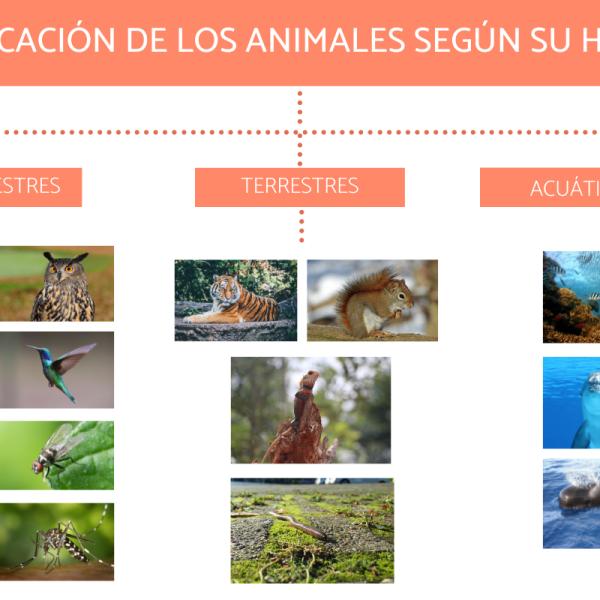 lista de animales domesticos