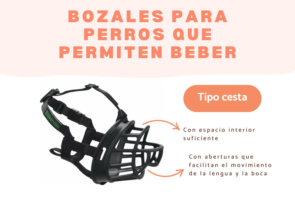 Bozales para perros que les permiten beber