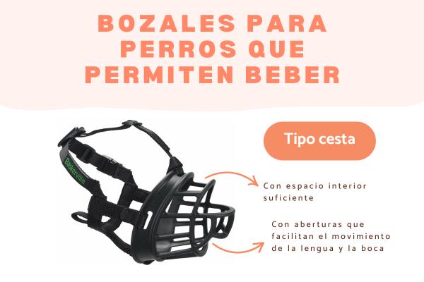Bozales para perros que les permiten beber