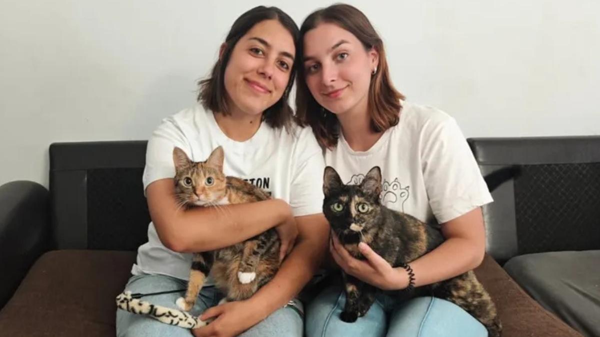 Dos hermanas de Oviedo crean un proyecto para cuidar gatos en sus casas cuando sus familias se van: “No sabíamos que hiciera tanta falta”