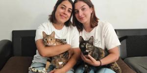 Dos hermanas de Oviedo crean un proyecto para cuidar gatos en sus casas cuando sus familias se van: “No sabíamos que hiciera tanta falta”