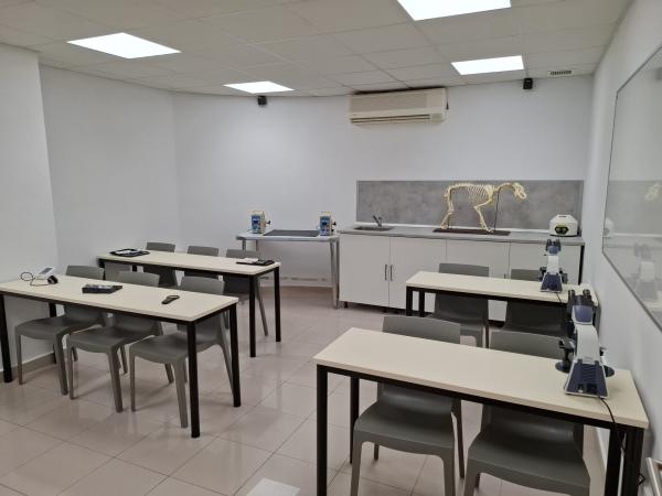 CIM Formación llega a Zaragoza: estudia ATV con una formación práctica y presencial - CIM Formación: pionera en la formación de auxiliares de veterinaria