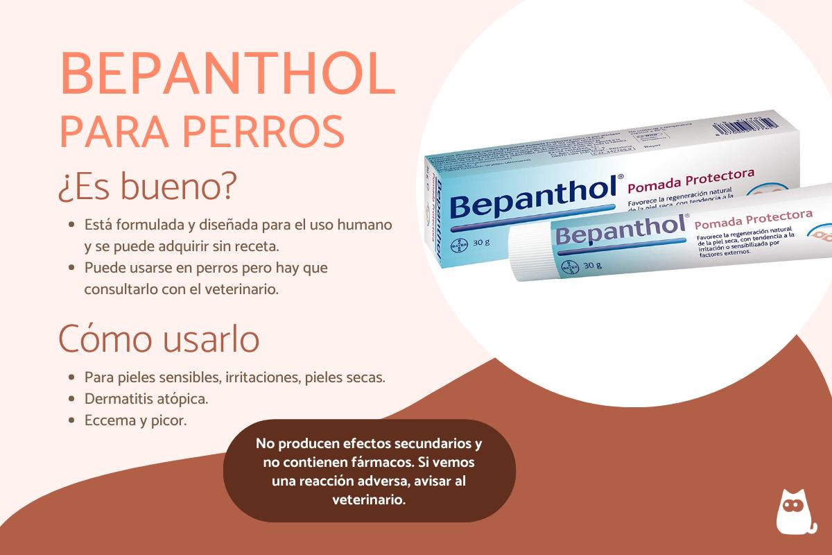 Crema Bepanthol para perros - Usos y contraindicaciones