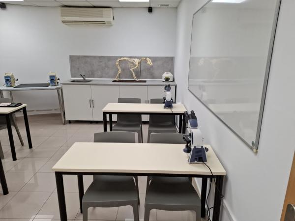 CIM Formación llega a Zaragoza: estudia ATV con una formación práctica y presencial - Formación veterinaria especializada más allá del ATV
