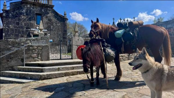 No viaja solo: un peregrino checo hace el Camino de Santiago con un caballo, un poni y dos perros - Jakub, el singular peregrino checho que recorre Europa con un caballo, un poni y dos perros