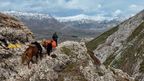 No viaja solo: un peregrino checo hace el Camino de Santiago con un caballo, un poni y dos perros - Lejos de las multitudes: Jakub eligió el “Camino Olvidado” para proteger a sus animales