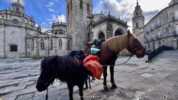 No viaja solo: un peregrino checo hace el Camino de Santiago con un caballo, un poni y dos perros - Mucho más que kilómetros: la pérdida de un compañero y los obstáculos del Camino