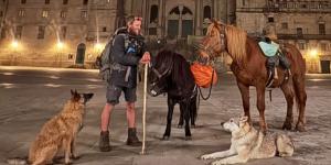 No viaja solo: un peregrino checo hace el Camino de Santiago con un caballo, un poni y dos perros