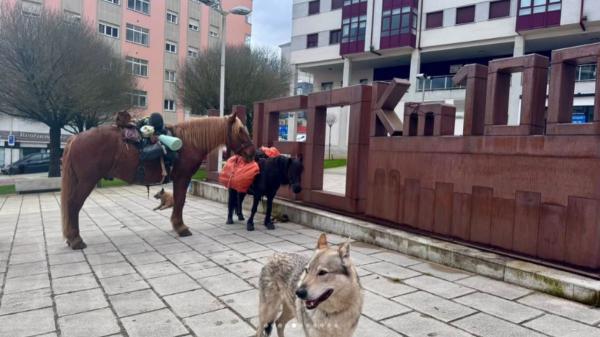 No viaja solo: un peregrino checo hace el Camino de Santiago con un caballo, un poni y dos perros - Un fenómeno viral que demuestra que viajar con animales es posible