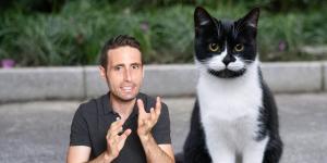 Carlos Gutiérrez, veterinario: “Los gatos blancos y negros son más esquivos y controladores”