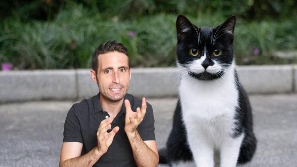 Carlos Gutiérrez, veterinario: “Los gatos blancos y negros son más esquivos y controladores”