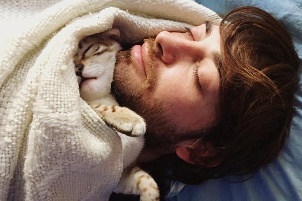 ¿Por qué los gatos eligen a una persona para dormir? - 2. Calor corporal