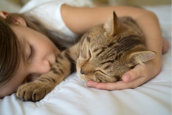¿Por qué los gatos eligen a una persona para dormir? - 4. Personalidad y hábitos