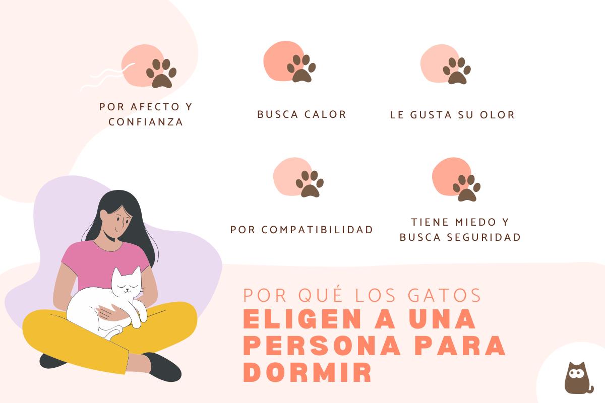 ¿Por qué los gatos eligen a una persona para dormir?