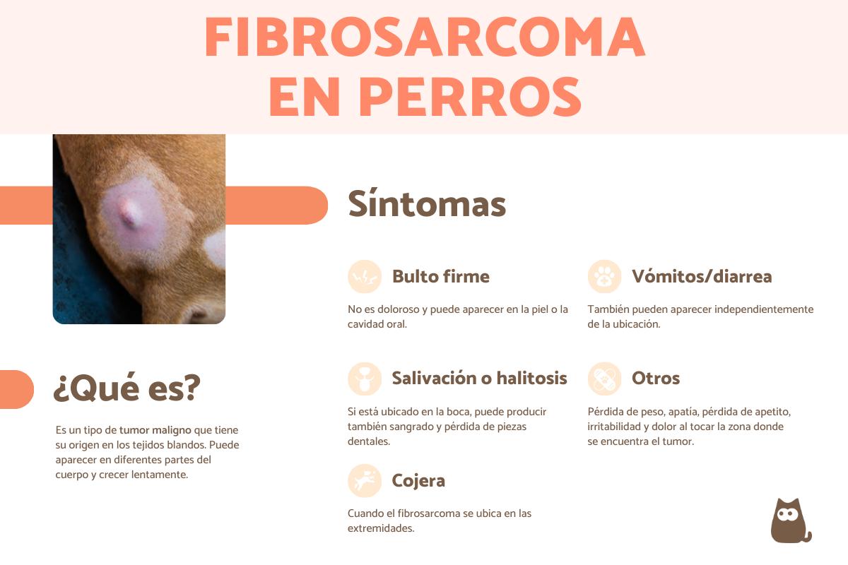 Fibrosarcoma en perros: síntomas y tratamiento
