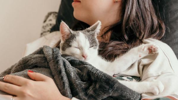 Las personas que duermen con su gato comparten estos 5 rasgos, según la psicología - Son más pacientes y tolerantes