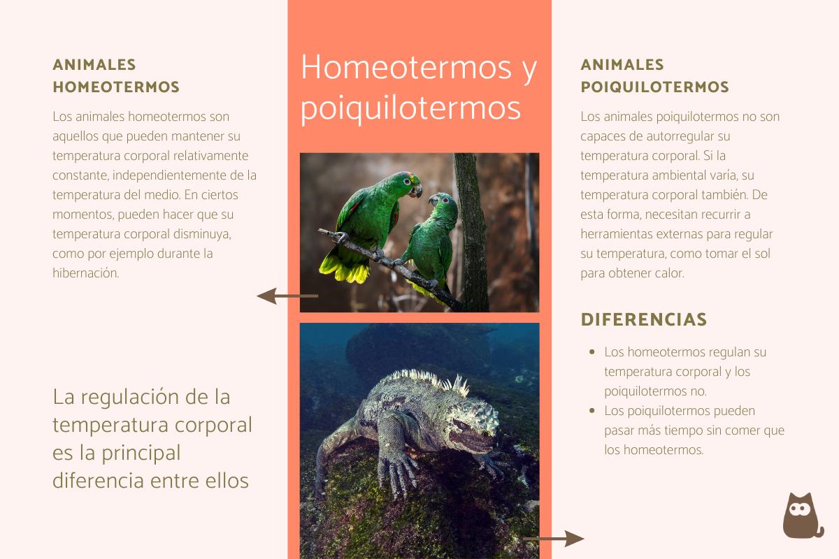 Animales homeotermos y poiquilotermos