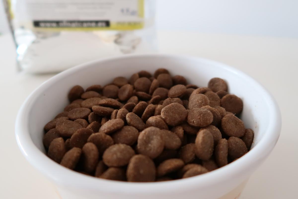 Los mejores piensos para cachorros