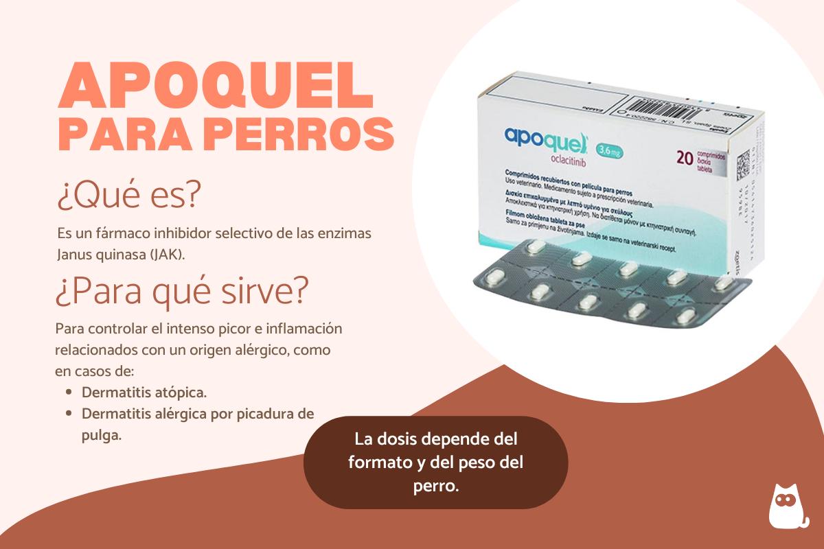 Apoquel para perros: dosis y para qué sirve