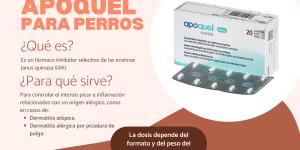 Apoquel para perros: dosis y para qué sirve