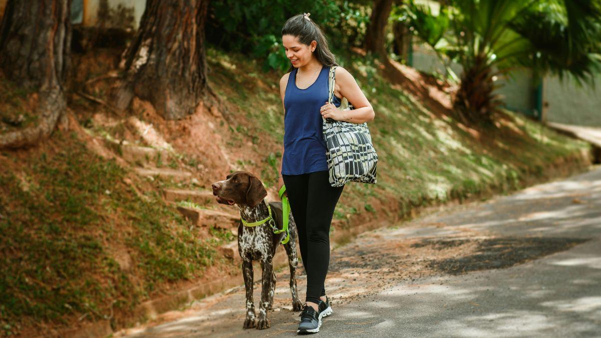 El paseo “perfecto” para un perro dura 67 minutos y debería incluir 16 paradas para olfatear, según un estudio veterinario
