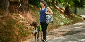 El paseo “perfecto” para un perro dura 67 minutos y debería incluir 16 paradas para olfatear, según un estudio veterinario