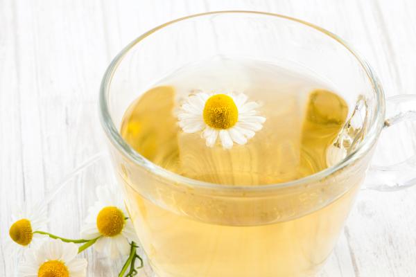 ¿Las pulgas mueren con el agua? - ¿Qué líquidos matan a las pulgas?